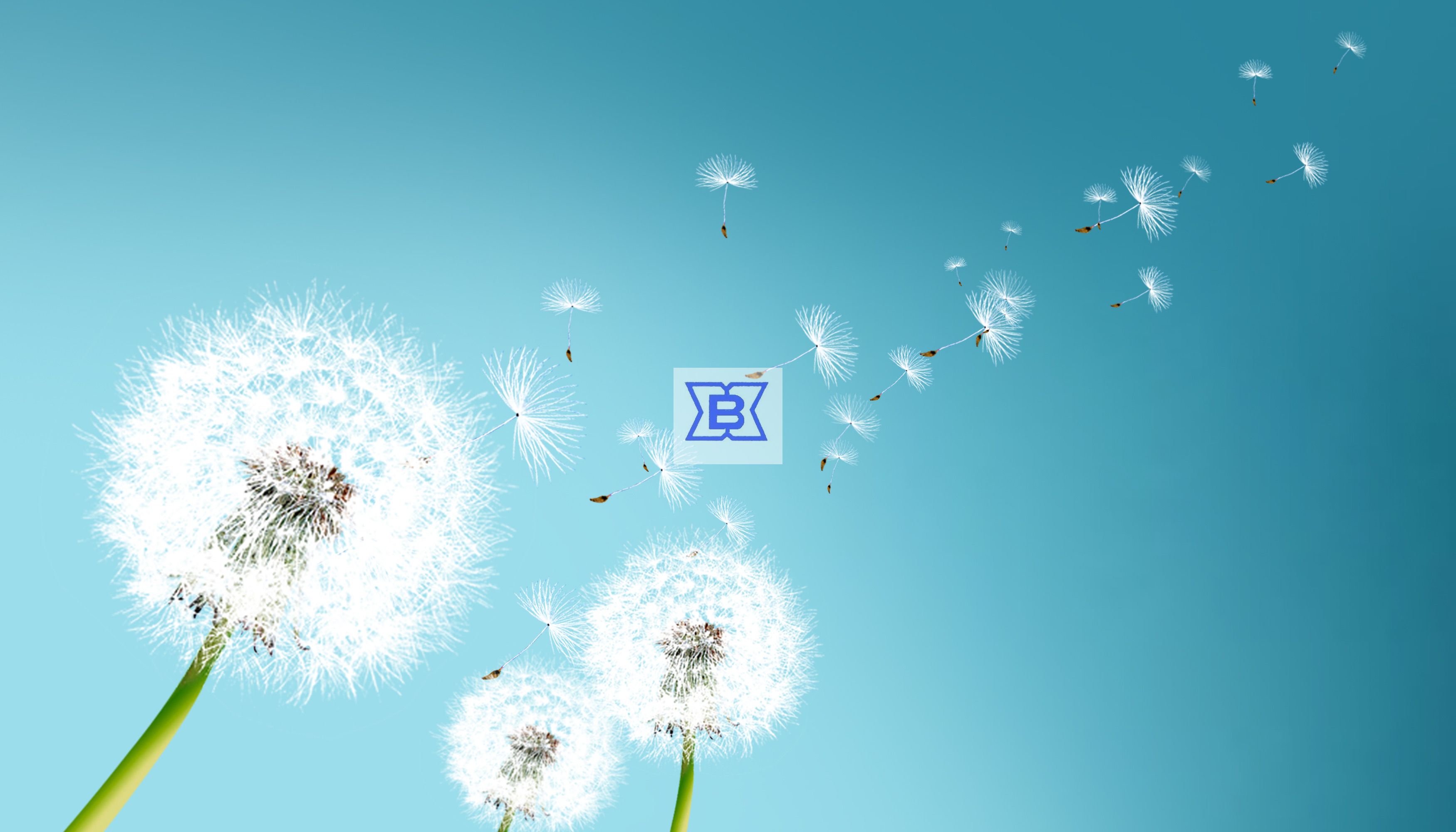 mansion88·明升(中国集团)官方网站